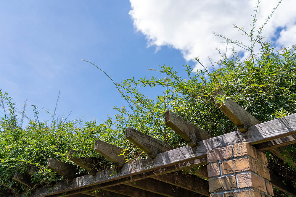 展示場イメージ01