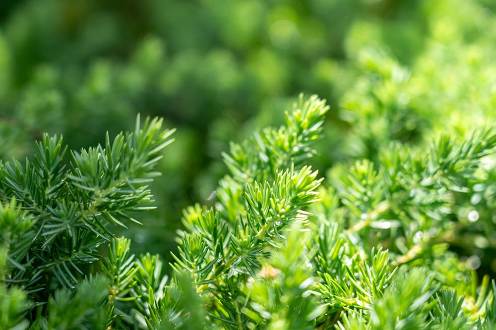 展示場イメージ03