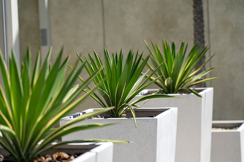 展示場イメージ11