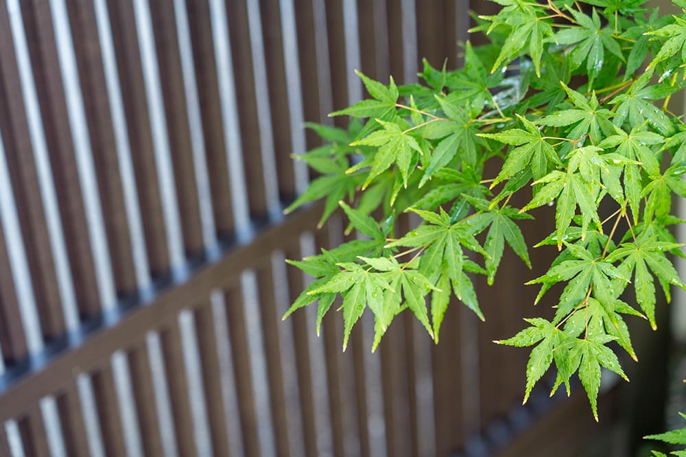 展示場イメージ13