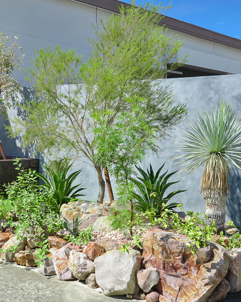 メインイメージ