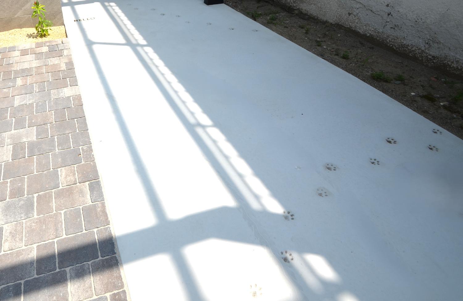 さりげなく猫の足跡を走らせました！